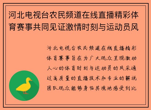 河北电视台农民频道在线直播精彩体育赛事共同见证激情时刻与运动员风采